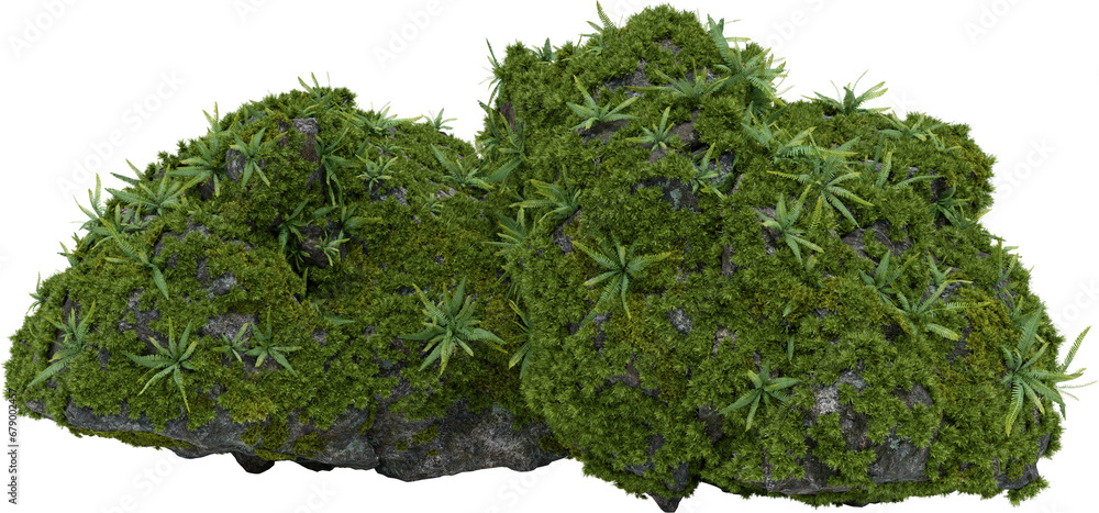 Poster moss plants on stone. 3d rendering of isolated objects.