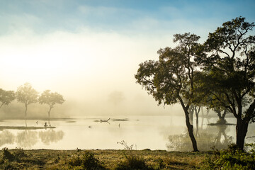 Fototapeta premium Savannah pond in the morning fog in Kruger National Park, South Africa
