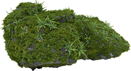 Moss plants on stone. 3d rendering of isolated objects.