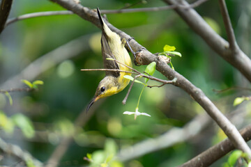 bird on a branch
