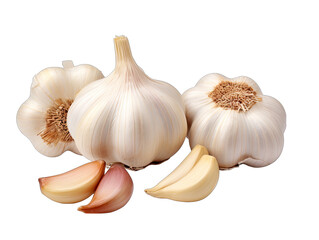 Garlic Bulb and Cloves Isolated on Transparent or White Background, PNG