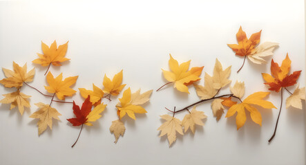 Naklejka na ściany i meble autumn leaves postcard on white background for space for text
