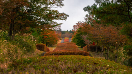 Autumn Stairs