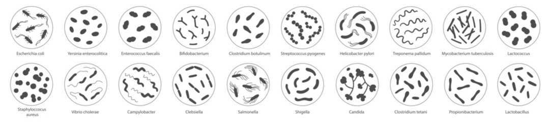 Set of bacteria in a magnifying glass. Vector illustration in doodle style