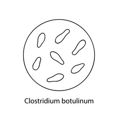 Pathogenic bacteria. Bacterial microorganism. Microbiology, infographics. hand drawn doodle style.