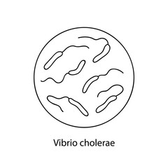 Pathogenic bacteria. Bacterial microorganism. Microbiology, infographics. hand drawn doodle style.