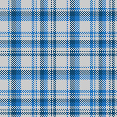 Tartan Grey Blue Plaid Pattern Seamless. Checkered fabric texture for flannel shirt, skirt, blanket
