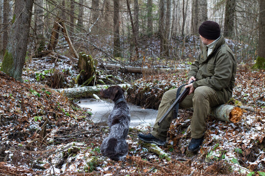 a hunter and his hunting dog are sitting in a remote forest