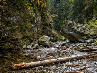 Image from Maria Valley ( Valea Mariii ) gorge, Hunedoara county, Romania