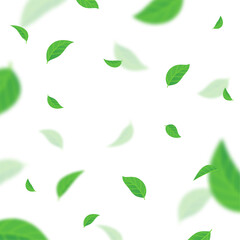 background of falling green leaves