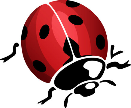 147,238 Ladybug Background Images, Stock Photos, 3D objects, & Vectors