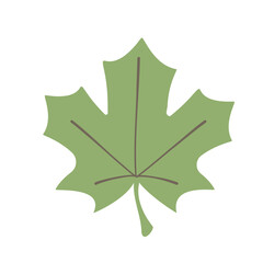 シンプルなカエデの葉っぱのイラスト