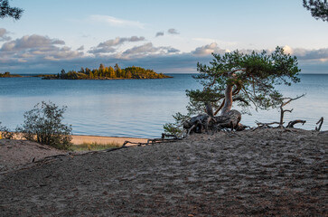 Koyonsaari Island. Republic of Karelia