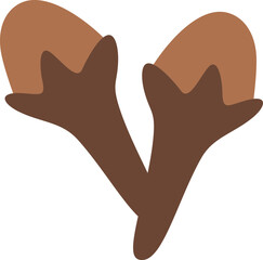 Clove illustration