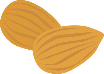 Almond illustration