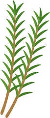 Rosemary leaf illustration