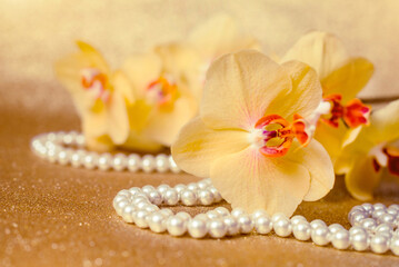 Fototapeta na wymiar yellow Orchid and pearl necklace on a shiny gold background