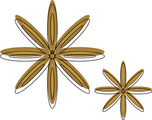 Star anise icon