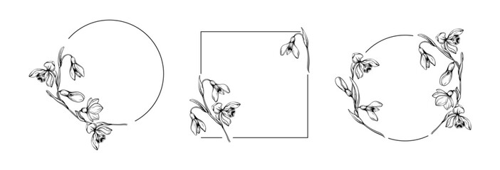 First spring flowers. Snowdrops vector graphic illustration. Delicate flowers circle and squar frame for celebration design.