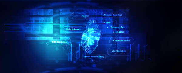 Fototapeta na wymiar 2d illustration Anatomy of Human Heart