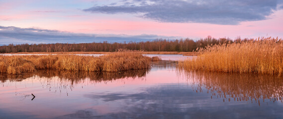Panorama of Calm Lake with Reeds glowing at sunrise