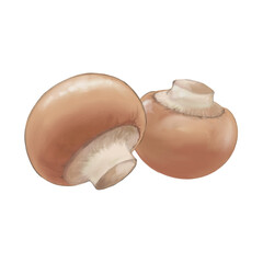 2個のマッシュルームのリアルな水彩イラスト