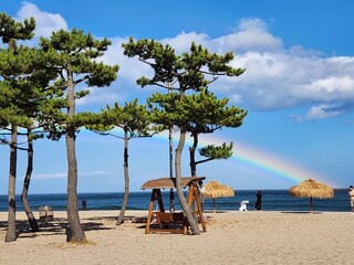 나무에 가려진 무지개_A rainbow obscured by trees