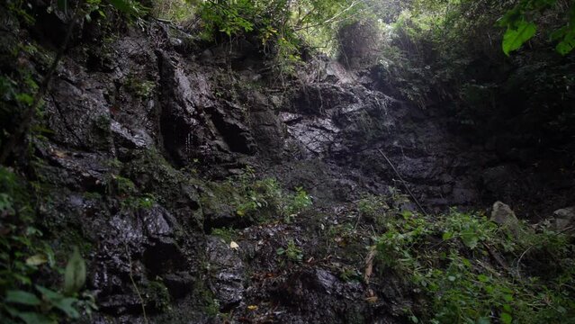 	美樽の滝　静岡県焼津市