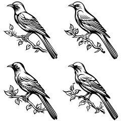 bird, animal, vector, birds, nature, illustration, tree, drawing, branch, design, sparrow, wing, cartoon, pattern, feather, wildlife, silhouette, cute, pigeon, beak, sketch, wild, flower, spring, love