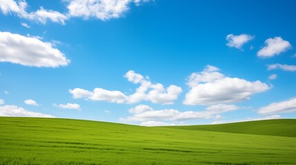 a field of green grass under a blue sky