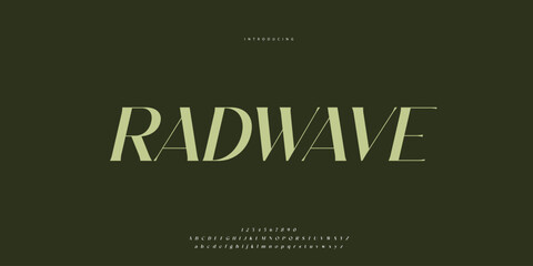 Elegant Font Uppercase Lowercase and Number. Classic Lettering Minimal Fashion Designs. Typography modern Sen Serif fonts regular decorative vintage concept. vector illustration © SyedMuhammad