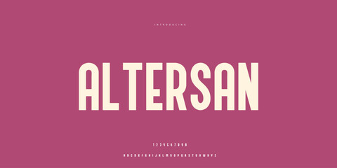 Elegant Font Uppercase Lowercase and Number. Classic Lettering Minimal Fashion Designs. Typography modern Sen Serif fonts regular decorative vintage concept. vector illustration © SyedMuhammad
