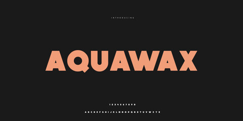 Elegant Font Uppercase Lowercase and Number. Classic Lettering Minimal Fashion Designs. Typography modern Sen Serif fonts regular decorative vintage concept. vector illustration © SyedMuhammad