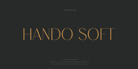 Elegant Font Uppercase Lowercase and Number. Classic Lettering Minimal Fashion Designs. Typography modern Sen Serif fonts regular decorative vintage concept. vector illustration © SyedMuhammad