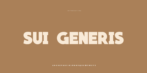 Elegant Font Uppercase Lowercase and Number. Classic Lettering Minimal Fashion Designs. Typography modern Sen Serif fonts regular decorative vintage concept. vector illustration © SyedMuhammad