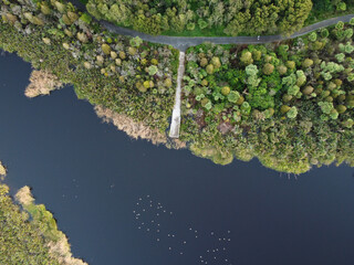 Waiwhakareke Natural Heritage Park in Hamilton, New Zealand