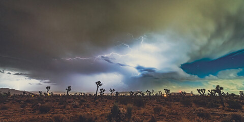 Lightning Storm Over Joshua Tree