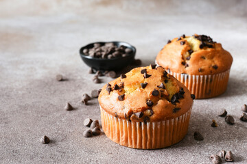 Muffin with chocolate chips on brown background. Sweet pastries.