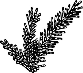 Doodle silhouette of fluffy fir branch, element of winter festival decoration. Prickly spruce branch winter symbol. Simple black shape freehand vector icon isolated on white background
