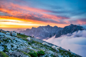 Sunrise over mountain Mojstrovka