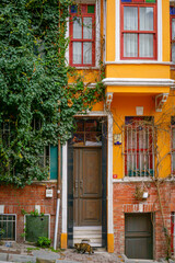 Fototapeta na wymiar Ivy growing on orange house with cat at the entrance in Istanbul, Turkey