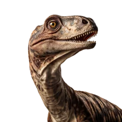 Gordijnen Close up of Plateosaurus dinosaur face isolated on a white transparent background © SuperPixel Inc