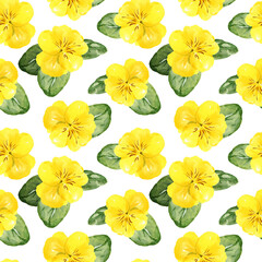 watercolor seamless pattern with hand drawn pansy flowers and buds and leaves, yellow spring flowers, summer illustration, isolated on white background
