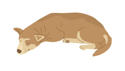 Cute redhead dog sleeps and smiles. Friend of human. Vector illustration for veterinary clinics and pet stores.