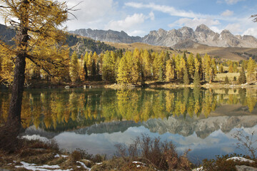 Fototapeta premium SIM-752958