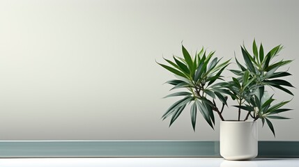 Minimal Modern Product Display On White, HD, Background Wallpaper, Desktop Wallpaper