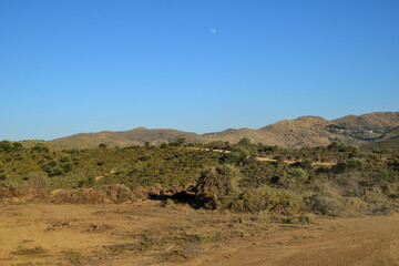 sand dunes - Ammothines, Gomati area, Lemnos island, Greece, Aegean Sea