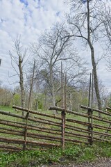 Fototapeta na wymiar Old wooden roundpole fence in a country landscape in spring.