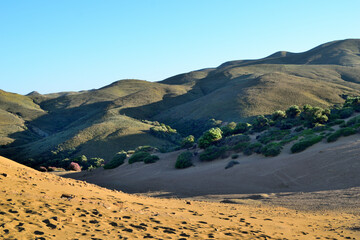 sand dunes - Ammothines, Gomati area, Lemnos island, Greece, Aegean Sea