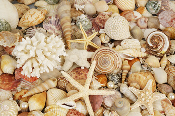 Starfish, corals and seashells with pearls as marine life background.